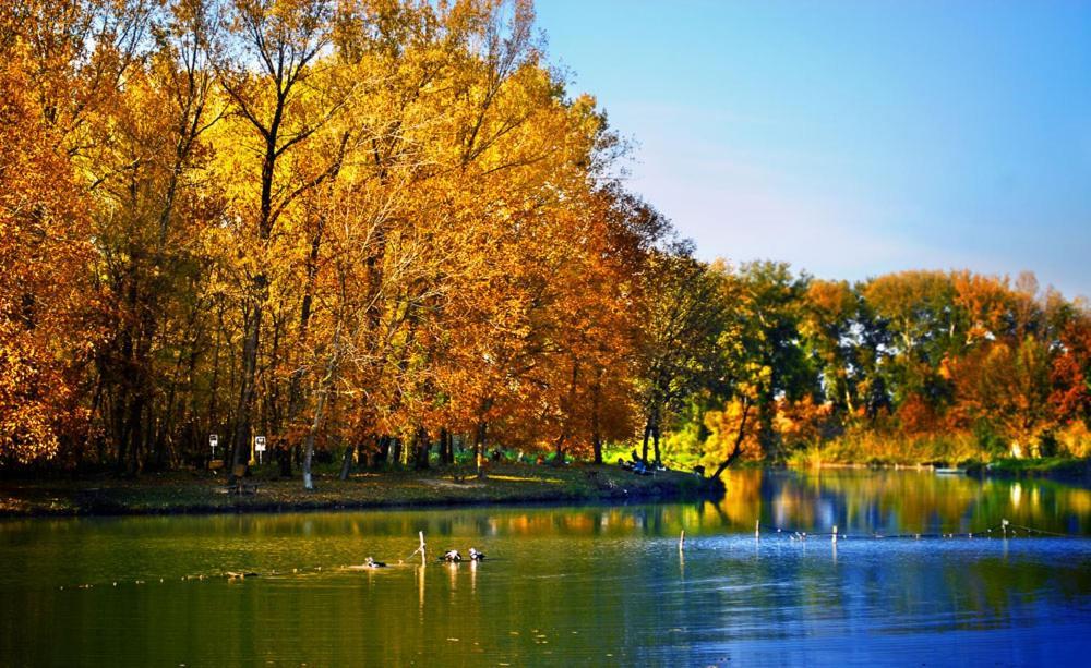 Monia Dream Apartment - Belgrade Lake & Fair Extérieur photo